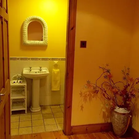 Thomond House 3* Galbally