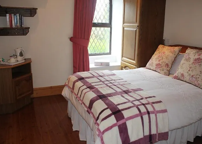 住宿加早餐酒店 Thomond House Galbally