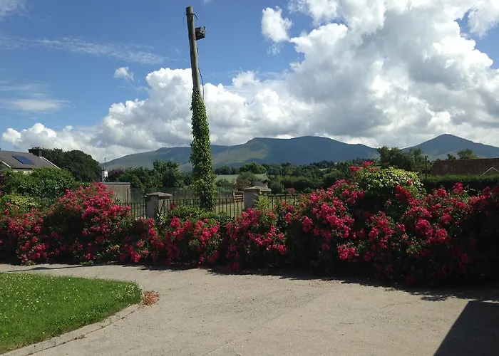 住宿加早餐酒店 Thomond House 3*