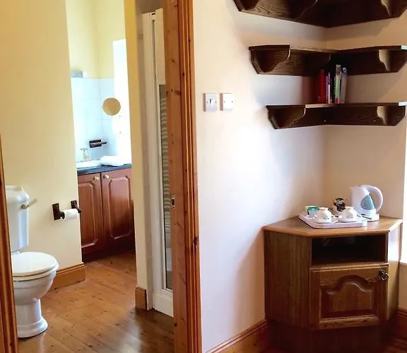 住宿加早餐酒店 Thomond House Galbally